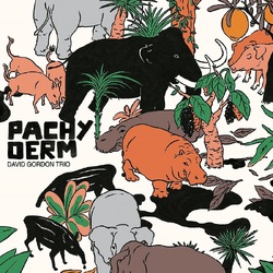 David Gordon Trio Pachyderm VINYL LP