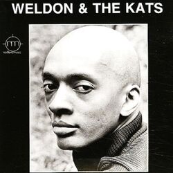 Weldon Irvine Weldon and the Kats VINYL LP