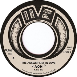 Aoh The Answer Lies in Love VINYL LP