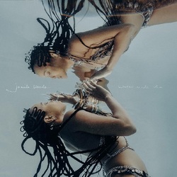 Jamila Woods Water Made Us VINYL LP