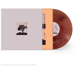 Land Of Talk Performances (Ecomix) VINYL LP