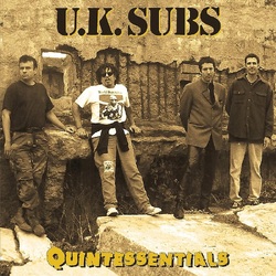Uk Subs Quintessentials  VINYL LP