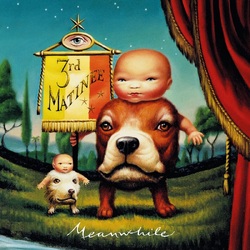 3Rd Matinee Meanwhile (1LP Coloured) VINYL LP