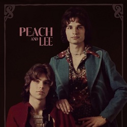 Peach And Lee Not For Sale 1965-1975 VINYL LP