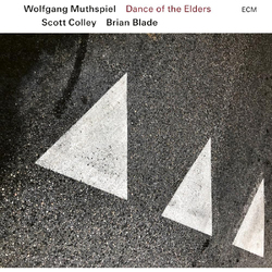 Wolfgang Muthspiel Scott Colley & Brian Blade Dance of the Elders VINYL LP