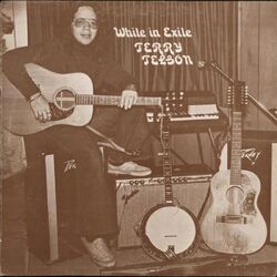 Terry Telson While In Exile VINYL LP