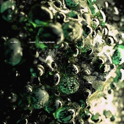 Scaler Loam / New Symbols (Transparent Green Vinyl) VINYL LP