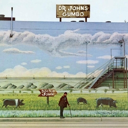 Dr. John Dr. John's Gumbo ATLANTIC 75 SERIES 180GM VINYL 2 LP 45RPM