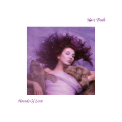 Kate Bush Hounds of Love (2018 Remaster) BLACK VINYL LP