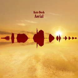 Kate Bush Aerial (2018 Remaster) BLACK VINYL LP