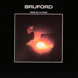Bruford One of a Kind VINYL LP
