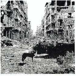 Vox Low Keep on Falling VINYL LP