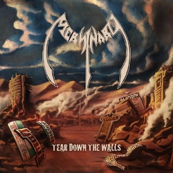 Mersinary Tear Down The Walls VINYL LP