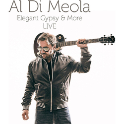 Al Di Meola Elegant Gypsy & More VINYL LP
