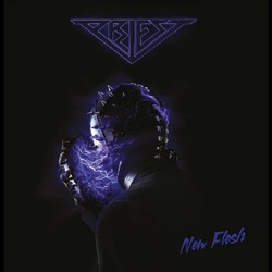Priest New Flesh VINYL LP
