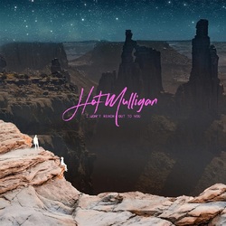 Hot Mulligan I Won'T Reach Out To You VINYL LP