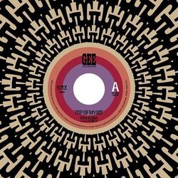 Soul Sugar Featuring Shniece Top Of My List VINYL LP