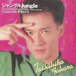 Toshihiko Tahara Junglejungle VINYL LP
