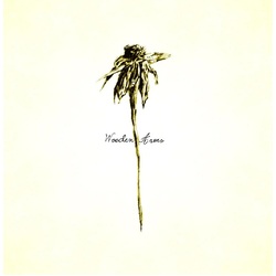 Patrick Watson Wooden Arms VINYL LP