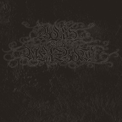 Boris With Merzbow 4092001 SILVER VINYL LP