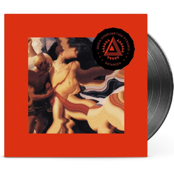 Datarock Media Consumption Pyramid VINYL LP