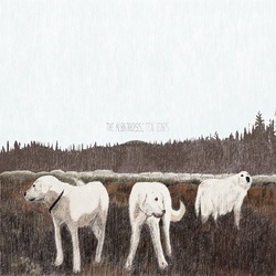 Foxing Albatross: Ten Years BROWN VINYL LP
