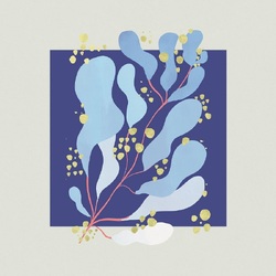 Salamanda In Parallel VINYL LP