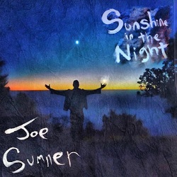 Joe Sumner Sunshine In The Night VINYL LP