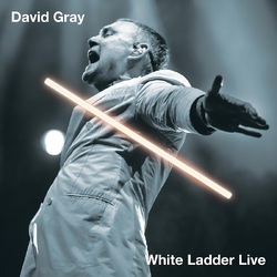 David Gray White Ladder Live VINYL LP