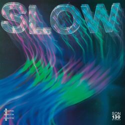 Various Artists Slow VINYL LP