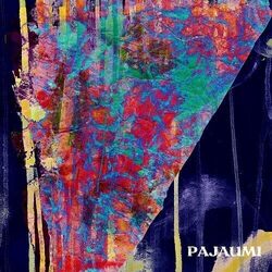 Pajama De Umi Nanka Ikanai Trip VINYL LP