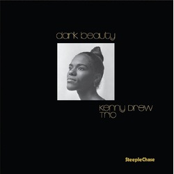 Kenny Drew Dark Beauty VINYL LP