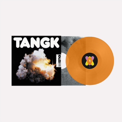 IDLES TANGK TRANSLUCENT ORANGE VINYL LP