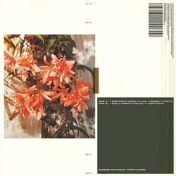 Popp Polygonia Candid VINYL LP