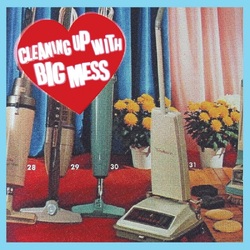Big Mess Cleaning Up With VINYL LP