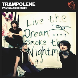 Trampolene Swansea To Hornsey Anniversary Edition Yellow VINYL LP
