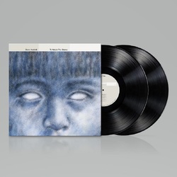 Steve Hackett To Watch The StormsVinyl Re-issue 2023 VINYL 2LP