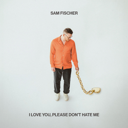 Sam Fischer I Love You, Please Don't Hate Me