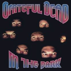 Grateful Dead In the Dark BLACK VINYL LP