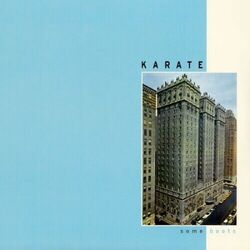 Karate Some Boots VINYL LP