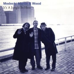 Medeski, Martin & Wood It's a Jungle in Here BLACK VINYL LP