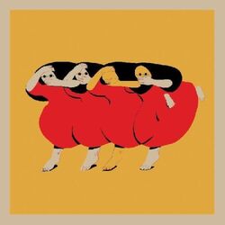 Future Islands People Who Aren’t There Anymore CD