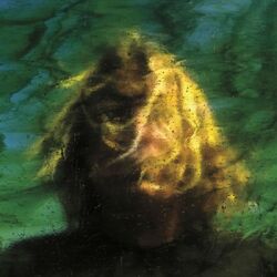 Ty Segall Three Bells CD