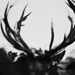 Ihsahn IHSAHN VINYL 2LP