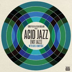 Various Artists Eddie Piller & Dean Rudland present… Acid Jazz (Not Jazz): We've Got A Funky Beat VINYL LP