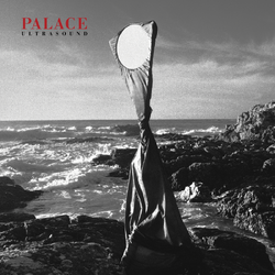 Palace Ultrasound VINYL LP