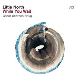 Little North While You Wait VINYL LP