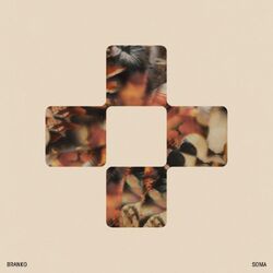 Branko Soma VINYL LP