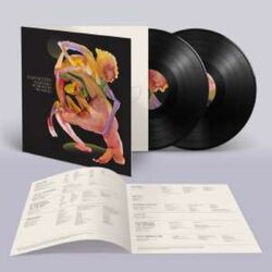 Julia Holter Something In The Room She Moves VINYL 2 LP