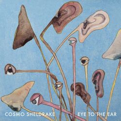 Cosmo Sheldrake Eye To The Ear VINYL LP